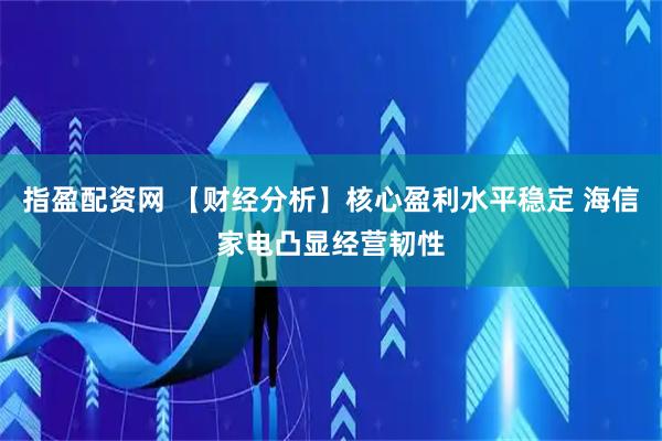 指盈配资网 【财经分析】核心盈利水平稳定 海信家电凸显经营韧性
