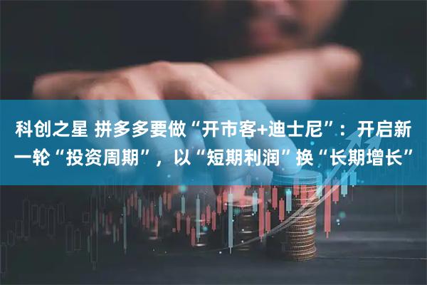 科创之星 拼多多要做“开市客+迪士尼”：开启新一轮“投资周期”，以“短期利润”换“长期增长”